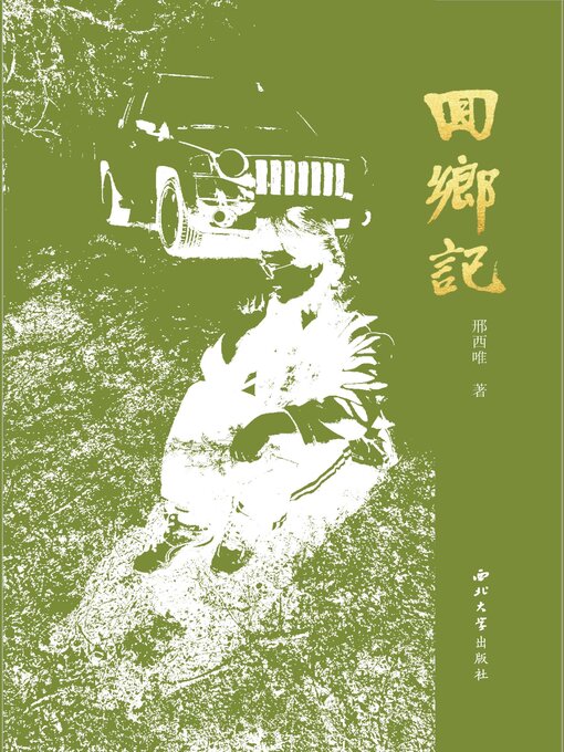 Title details for 回乡记 by 邢西唯 - Available